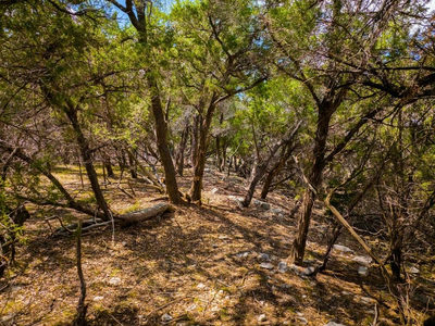 13409 Madrone Mountain Way — photo 4