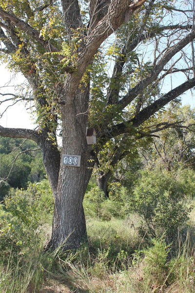 Lot 100 Saddle Ridge Dr — photo 4