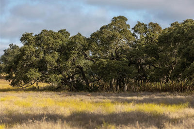 Lot 1 Legacy Hills Dr — photo 2
