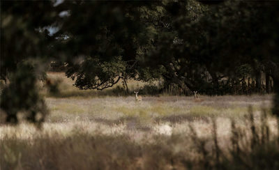 Lot 1 Legacy Hills Dr — photo 3