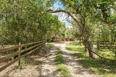 3805 Lone Man Mountain Rd #B — photo 4