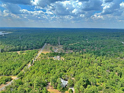 TBD PINE TREE Loop — photo 5
