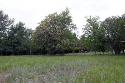 7887 Pettytown Rd — photo 2