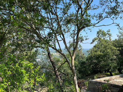 TBD Sunset Dr — photo 2
