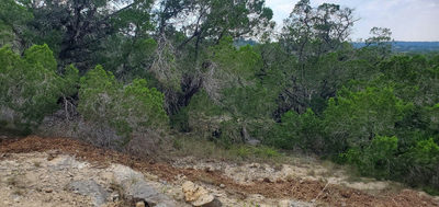 2303 Pace Bend Rd S — photo 2