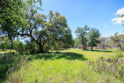 480 Blue Creek Dr — photo 2