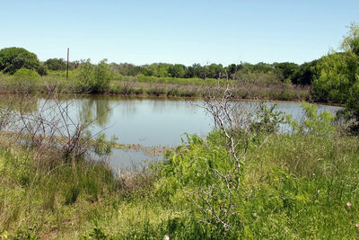 1023 Sierra Dr — photo 4