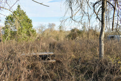 TBD Young Rd — photo 5
