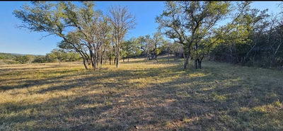Lakeside w/elevated view TBD-Lot 19 Westshore Ln — photo 4