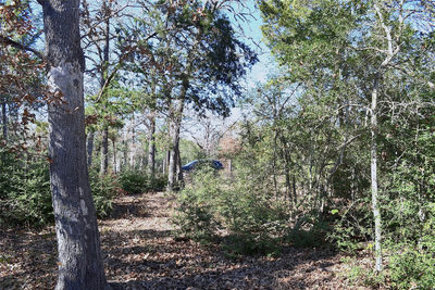 10318-1 Parsons Rd — photo 4