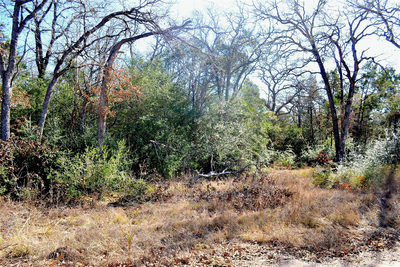 10318-1 Parsons Rd — photo 2