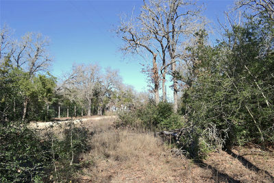 10318-1 Parsons Rd — photo 5