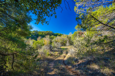 0 W McCarty Ln — photo 2