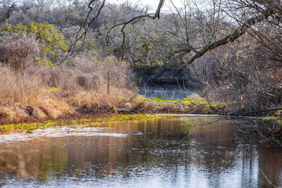 13017 Bob Johnson Ln #C — photo 5