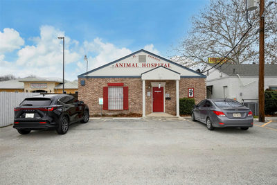 13039 Nacogdoches Rd — photo 4