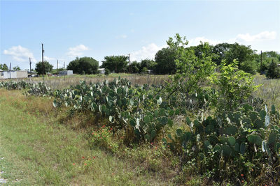TBD Hwy 40 Rd — photo 2