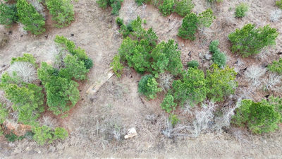 LOT 173 / R32210 Keo Kea Ct — photo 3