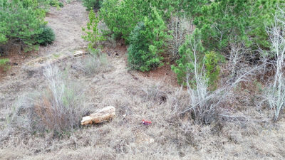 LOT 173 / R32210 Keo Kea Ct — photo 5