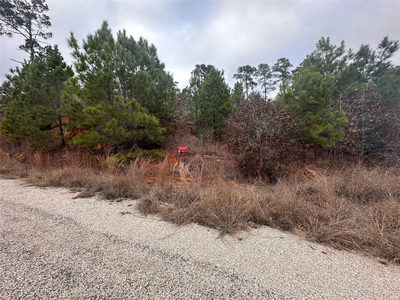 LOT 183 / R32300 Keo Kea Ct — photo 3