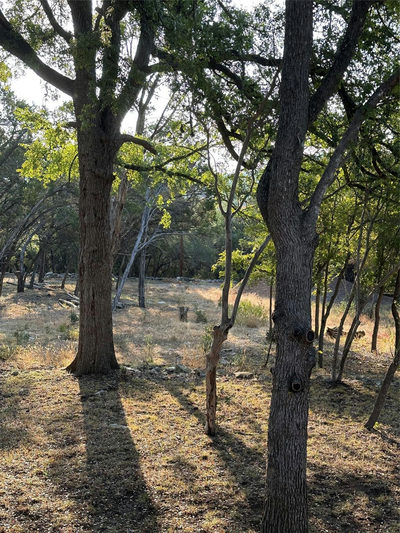 12333A Ranch Rd 12 None #1 — photo 4