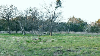 1141 Settlers Rd — photo 4