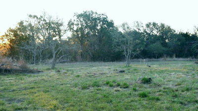 1141 Settlers Rd — photo 5