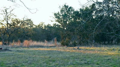1141 Settlers Rd — photo 3