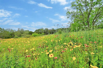 Lot 18 South Cv — photo 3
