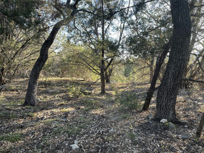 20805 Hawthorne Cv — photo 3