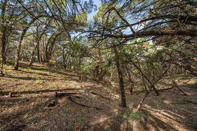 7900 Arapaho Trl — photo 4
