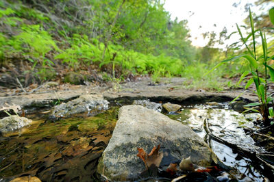 10700 FM306 — photo 3