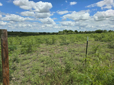 414 3G Ranch Rd — photo 4