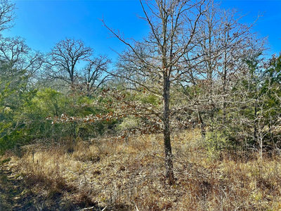 0 Wood Haven Dr — photo 2