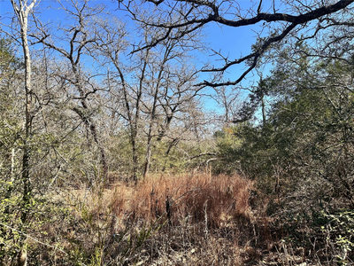 0 Wood Haven Dr — photo 3