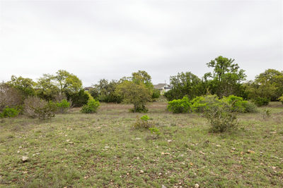 TBD Logan's Way — photo 2