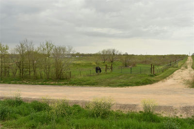 TBD Anderson Ln — photo 2