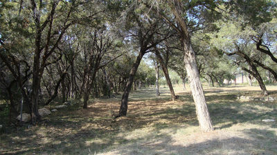 6714 Bar K Clubhouse Ct — photo 2