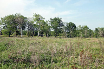 3223 Old Kelley Rd — photo 4