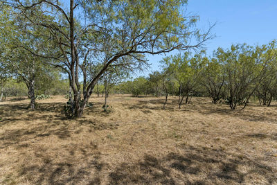 200 Armstrong Rd — photo 2