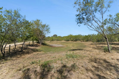 200 Armstrong Rd — photo 3