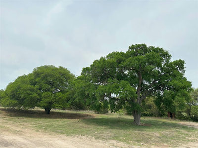 tbd County Road 330 — photo 5