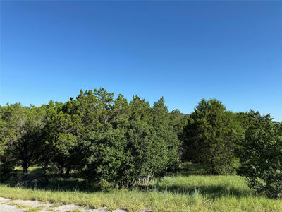Lot 22325 Jalapeno — photo 3