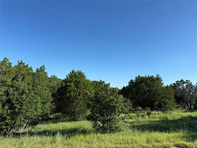 Lot 22325 Jalapeno — photo 2