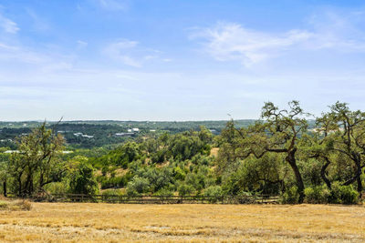 18700 Madrone Ranch Trail — photo 5