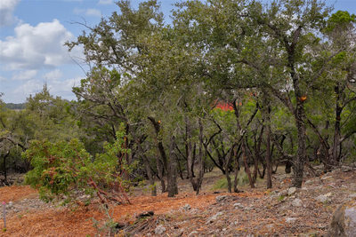TBD Stagecoach Ranch Loop — photo 2