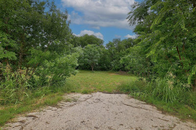101 River Rd — photo 4