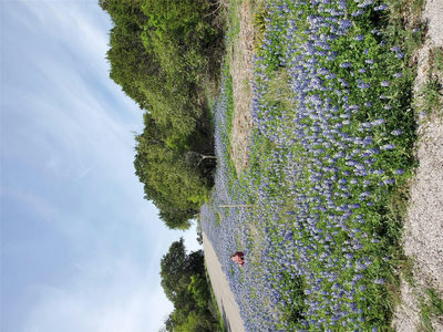 000 Dew Drop St — photo 2