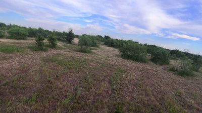 001 Bois D Arc Rd — photo 4
