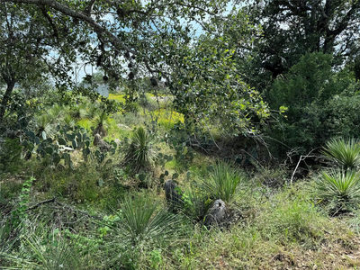 PID 17064 Sweetbriar Dr — photo 2