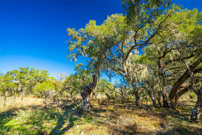 0 Quail Run Dr — photo 5